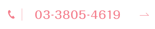 TEL:03-3805-4619